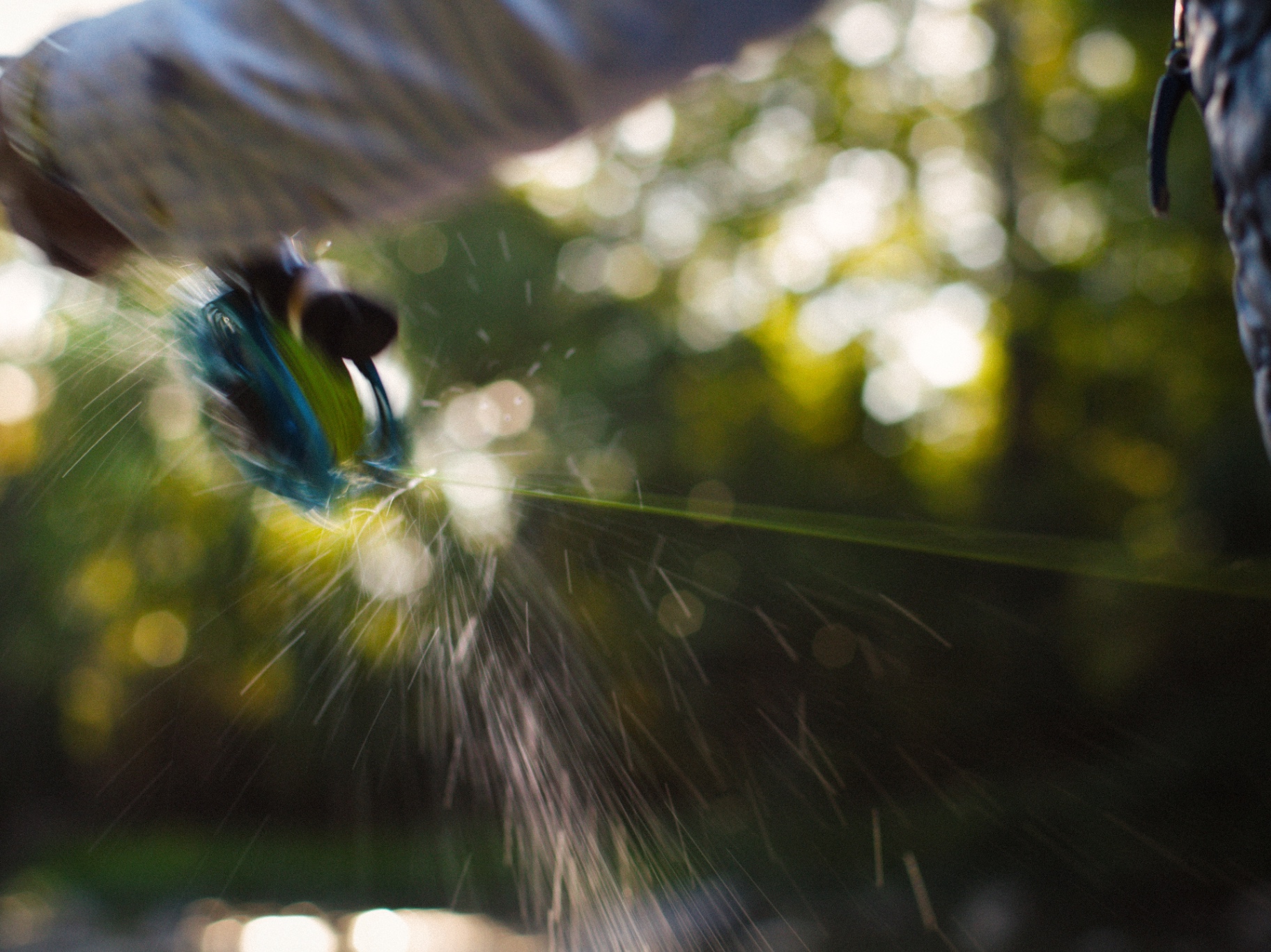 Fly and line catching light mid-cast against a green bokeh background
